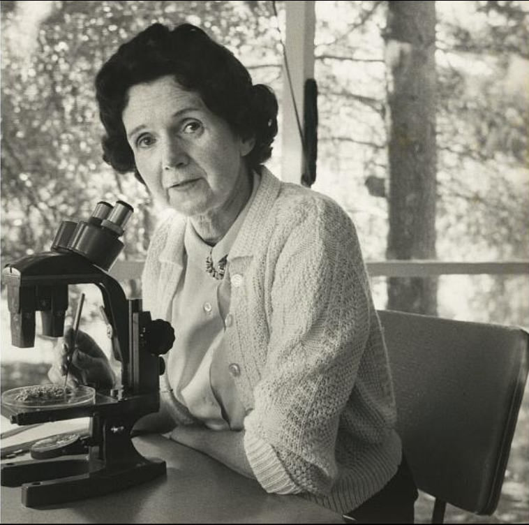 Rachel Carson with microscope