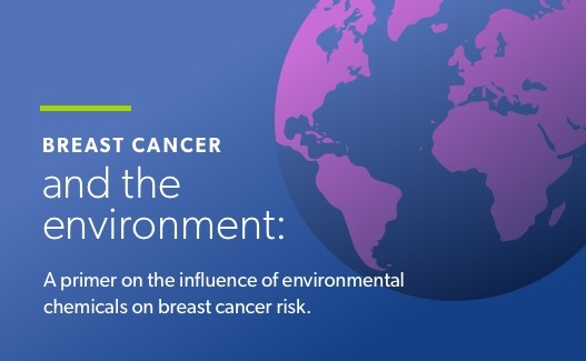 Breast cancer and the environment